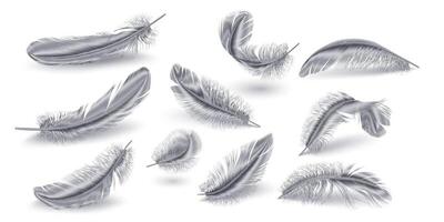 Scattered silver feathers realistic illustration collection. Grey bird plumage set. Metallic quills 3d elements on white background vector