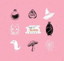 Halloween scary collection elixir, bottle, ouija, hat, cat head, scary stories, bat, dracula, chupacabra, mushroom, spider web elements and icons for decorations in hand drawing style with pink vector