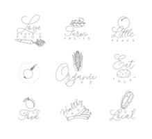 Vegetables and fruits symbols with lettering in pen hand drawing lines style on white background vector