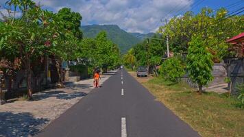 Serene Road Surrounded by Nature video