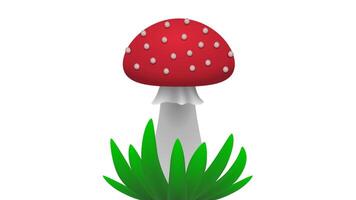 A red fly agaric in the green grass vector