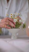 Hands Arranging Chamomile Flowers in a White Vase on Table video