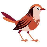 Dunnock bird walks kawaii vector