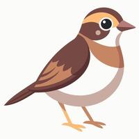 Dusky Seaside Sparrow bird stands kawaii vector