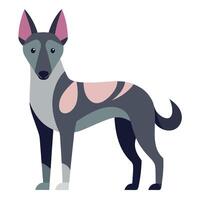 Dutch Shepherd dog learns kawaii vector
