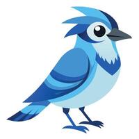 Eurasian Jay bird learns kawaii vector