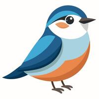 Eurasian Nuthatch bird goes kawaii vector