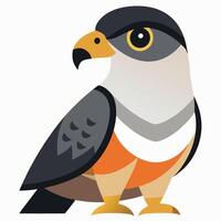 Eurasian Sparrowhawk bird cries kawaii vector