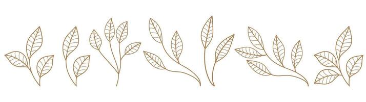 Set monochrome simple leaves botanical branches with stem and foliage vector