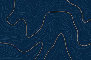 Luxury gold abstract line art background . illustration vector