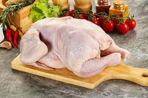 Raw whole chicken for cooking photo