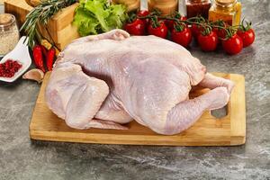 Raw whole chicken for cooking photo