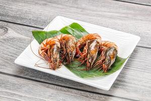 Cooked tiger prawn in the pate photo