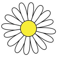 daisy flower head, simple color illustration of one yellow bloom with white petals isolated on white background vector
