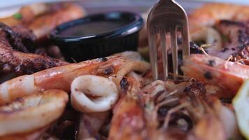 Dip the squid into the sauce. Boiled squid and soy sauce video