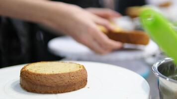 Ganache with Camembert cheese and pears Woman holding raspberry bento cake stuffed with whipped cream. Confectionery, baking and cooking concept woman making cake. process of creating video