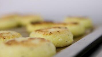 Cheesecakes on a baking sheet Cottage cheese pancakes on a baking sheet cheese pancakes, syrniki on a baking sheet. video