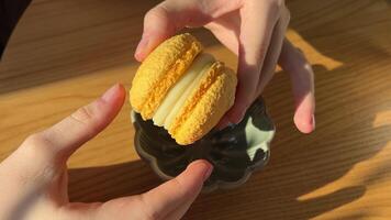 Hands breaking macarons. Break apart the macarons video