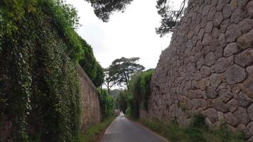 First person view from dashcam of car driving along Sintra forest road Portugal video