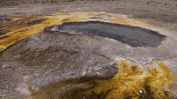 Algae-bacterial mats. Hot thermal spring, hot pool in the Yellowstone National park. Wyoming, USA video