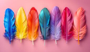 Colorful Feathers Arranged in a Line on a Pink Background. Vibrant feathers in rainbow colors are lined up against a soft pink backdrop photo