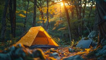A yellow tent is set up in a forest with a solar panel nearby photo