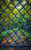 A blue chain link fence with a path in between photo