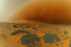 A vast desert landscape displaying a prominent sand dune in the background photo