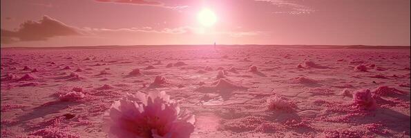 A beautiful pink flower is located in the middle of a pink field during sunset photo