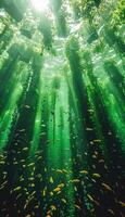 A mesmerizing underwater view of a bustling city filled with many fish photo