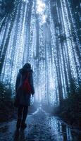 A woman walks through a forest filled with Christmas lights photo