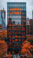 A very tall building with many windows is beautifully lit up at night photo