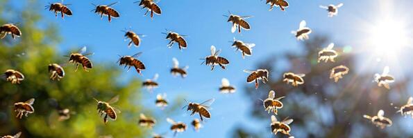 A large flock of bees is flying gracefully in the clear blue sky photo
