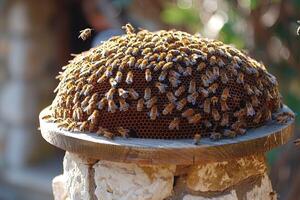 A large group of busy bees has gathered on a wooden table surface photo