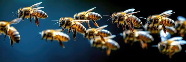A large group of bees is flying together in a perfectly straight row photo