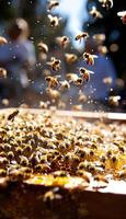 A large group of bees is happily buzzing around a honeycomb structure photo