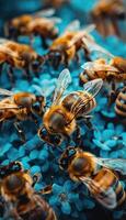 A large group of buzzing bees are gathered together on a blue flower photo