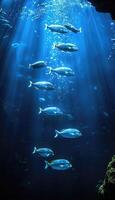 A lively group of colorful fish are swimming gracefully in the ocean photo