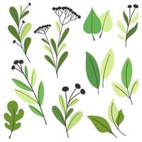 Collection of decorative twigs and leaves, isolates in flat style. vector