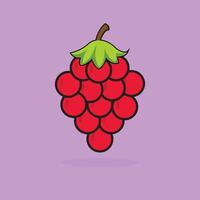 Hand drawn Berry Ripe red raspberry with a fresh green leaf vector
