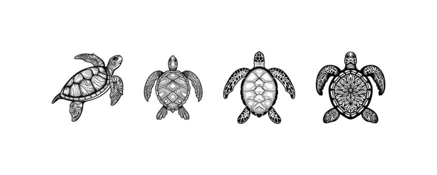 intrincado mar Tortuga ilustraciones con detallado cáscara patrones. icono diseño. vector