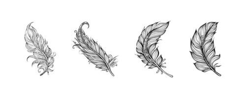 Intricate Feather Illustrations Set of Four. icon design. vector