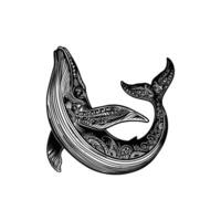 Intricate Whale Illustration in Abstract Line Art. icon design. vector