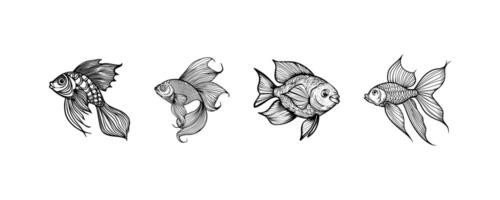 Intricate Goldfish Illustrations in Black and White. icon design. vector