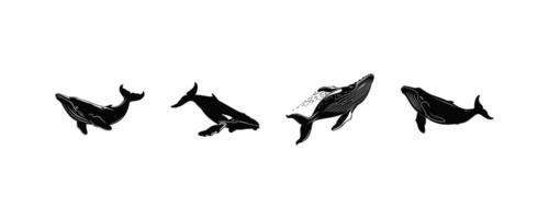 Four Whale Silhouettes in Various Poses. icon design. vector