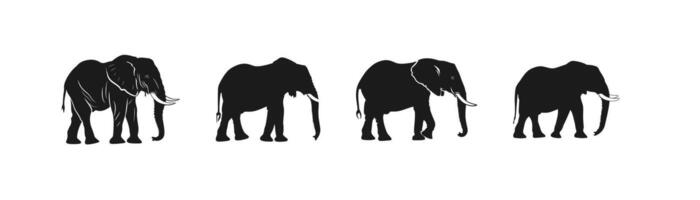 Elephant Silhouette Illustrations in Various Poses. icon design. vector