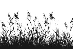 Silhouette of Wild Grass and Weeds Blowing in the Wind. icon design. vector