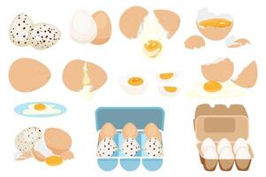Fresh and boiled eggs mega set elements in flat graphic design. Bundle objects of different colors eggs, cracked eggshell and yolks, slices, products in cardboard containers. illustration. vector