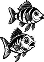 Silhouette fish seabass on white background vector