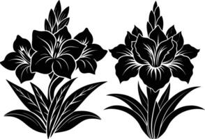 Gladiolus silhouette on white background vector